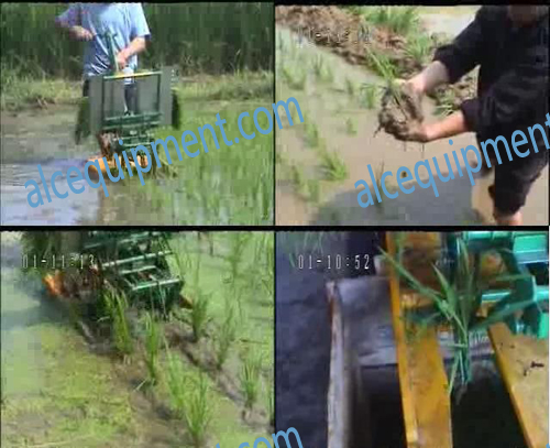Rice transplanter