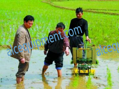 Rice transplanter