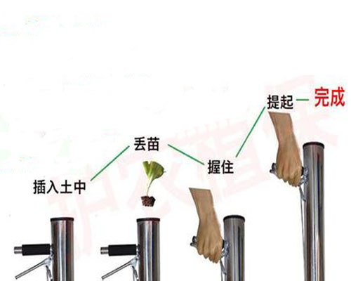 Vegetable planter manual pepper seeder