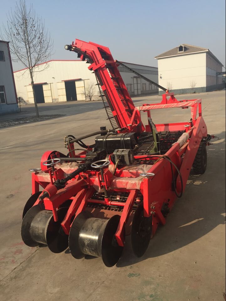 Combine potato harvester, automatic potato harvester
