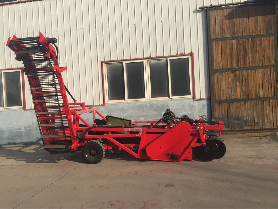 Combine potato harvester, automatic potato harvester