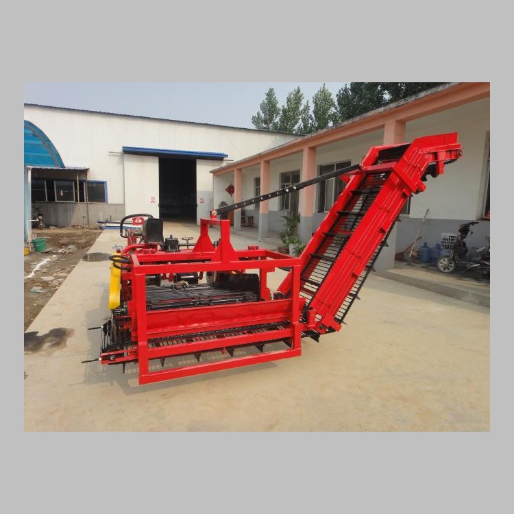 Combine potato harvester, automatic potato harvester