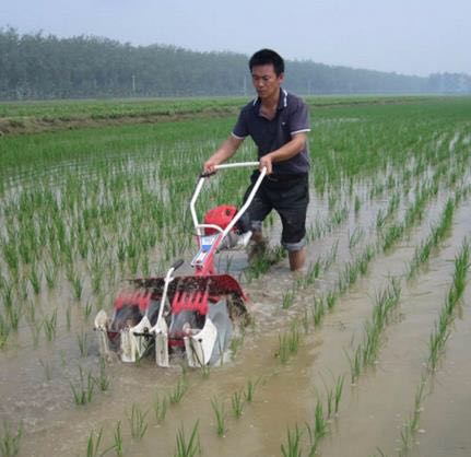 paddy weeder, mini weeder, rice weeder,power weeder