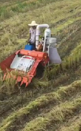 Head-feed combine harvester, Rice wheat harvester, combine harvester