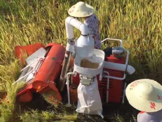 Head-feed combine harvester, Rice wheat harvester, combine harvester